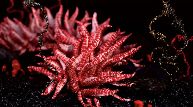 Margaret and Christine Wertheim and the Institute For Figuring, Red Nudibranch Reef, 2022